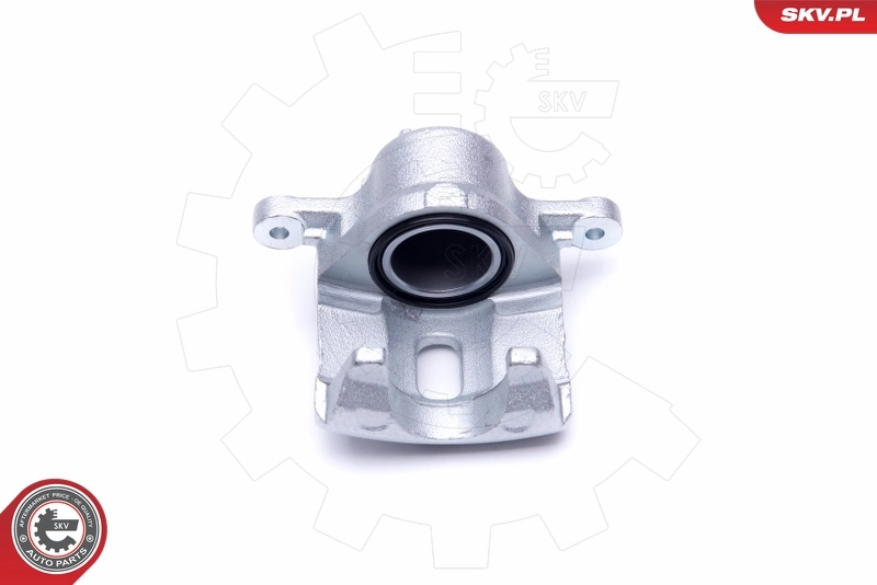 Brake Caliper 46SKV151