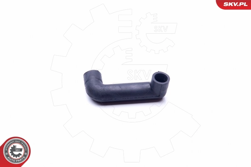 Hose, crankcase ventilation 31SKV116