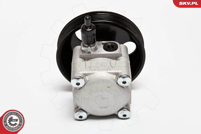 Hydraulic Pump, steering 10SKV010