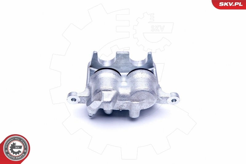 Brake Caliper 44SKV231