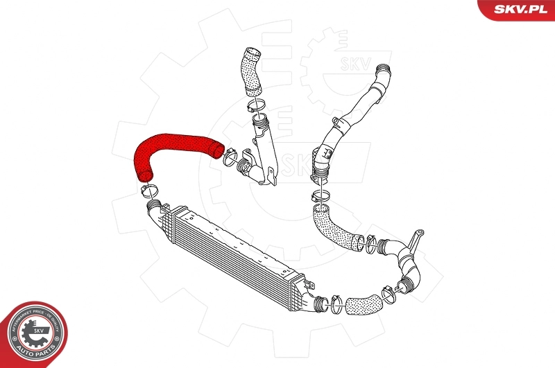 Charge Air Hose 43SKV401