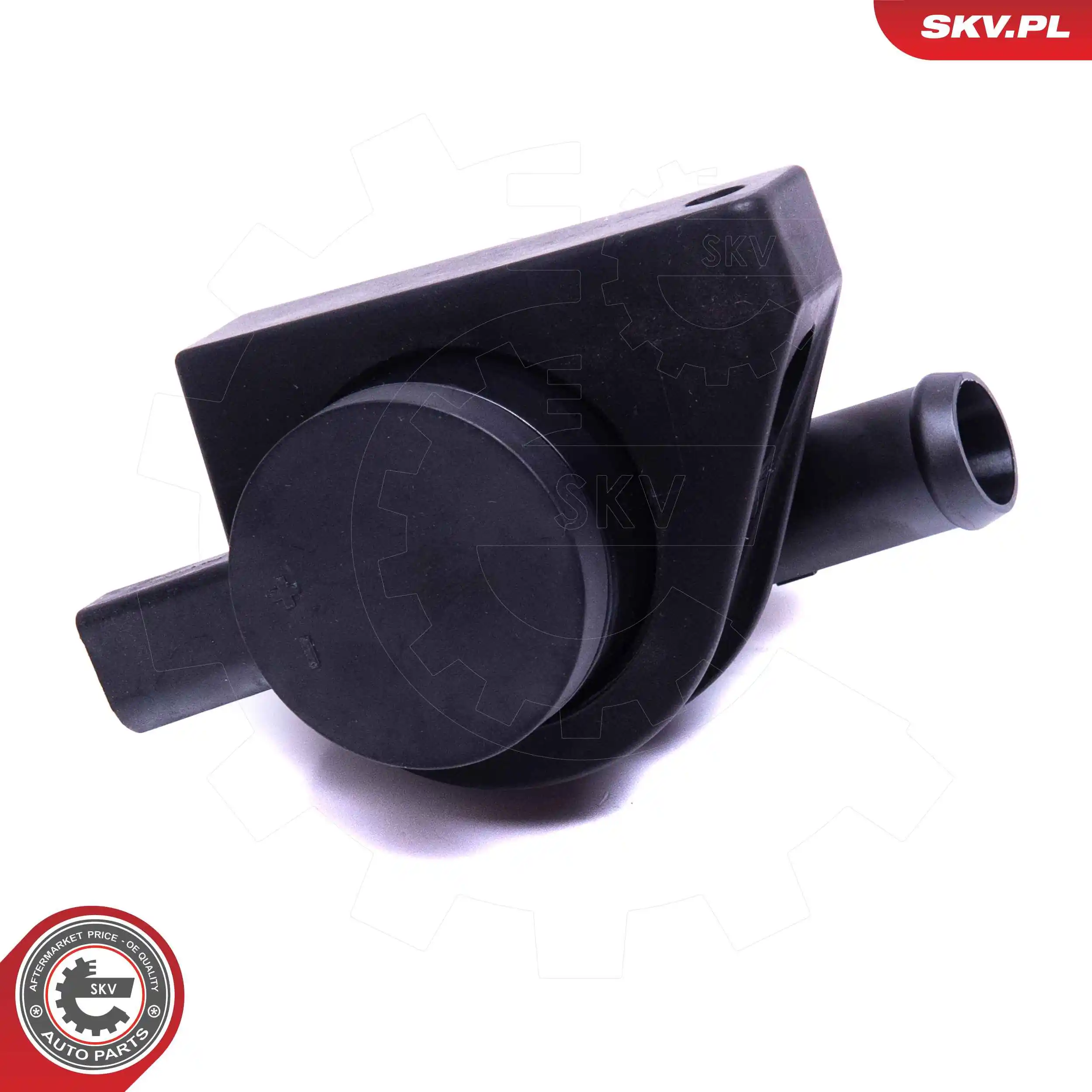 Auxiliary Water Pump (cooling water circuit) 22SKV057