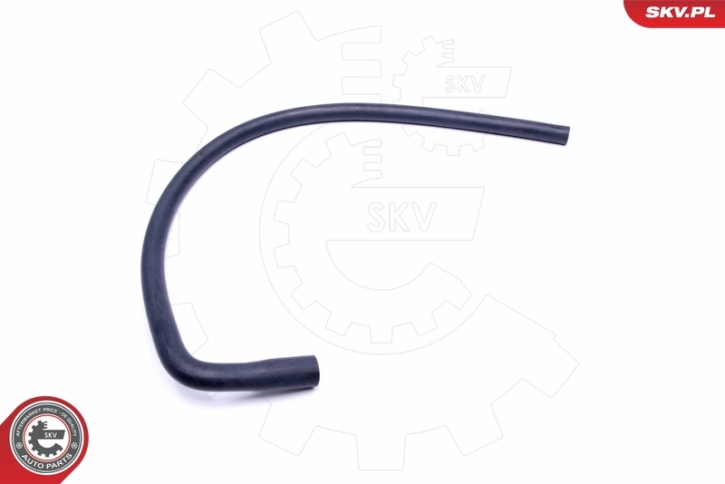Radiator Hose 43SKV879