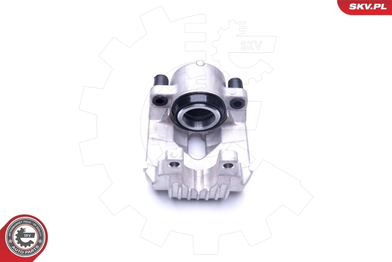 Brake Caliper 44SKV832