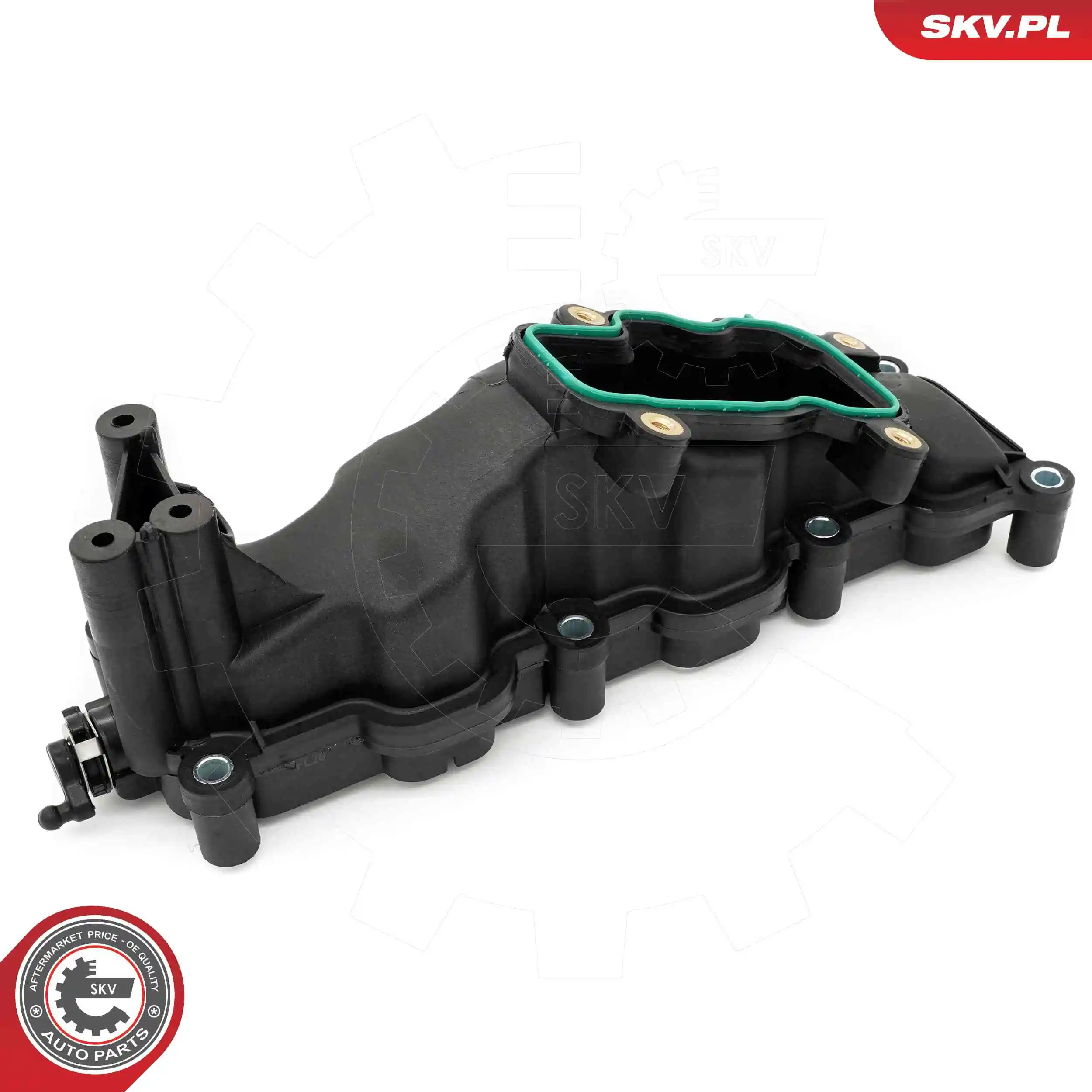 Intake Manifold Module 49SKV084