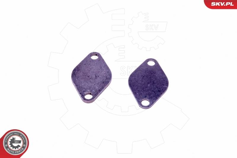 ESEN SKV 14SKV531 Repair Set, EGR valve