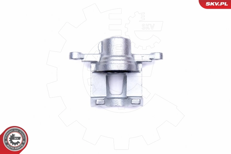 Brake Caliper 45SKV344