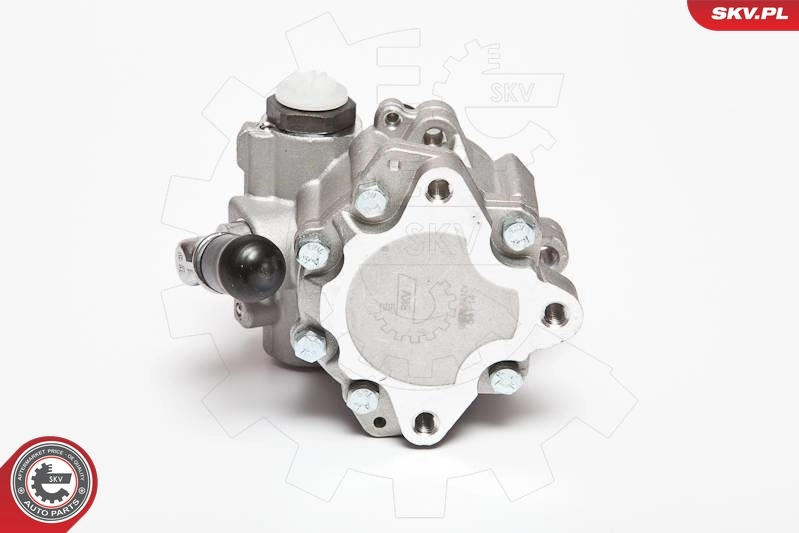 Hydraulic Pump, steering 10SKV015