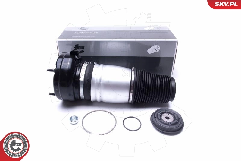 Air Suspension Strut 58SKV069