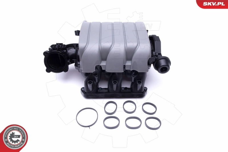 Intake Manifold Module 49SKV002