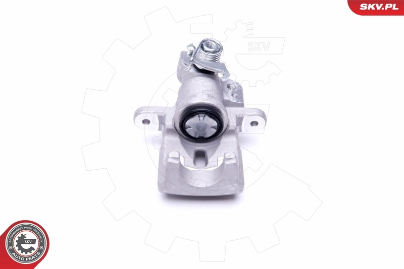 Brake Caliper 50SKV073