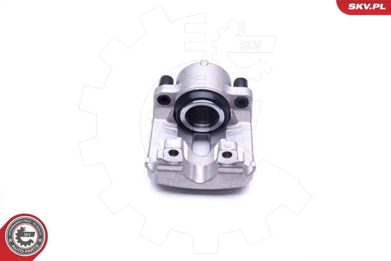 Brake Caliper 23SKV866