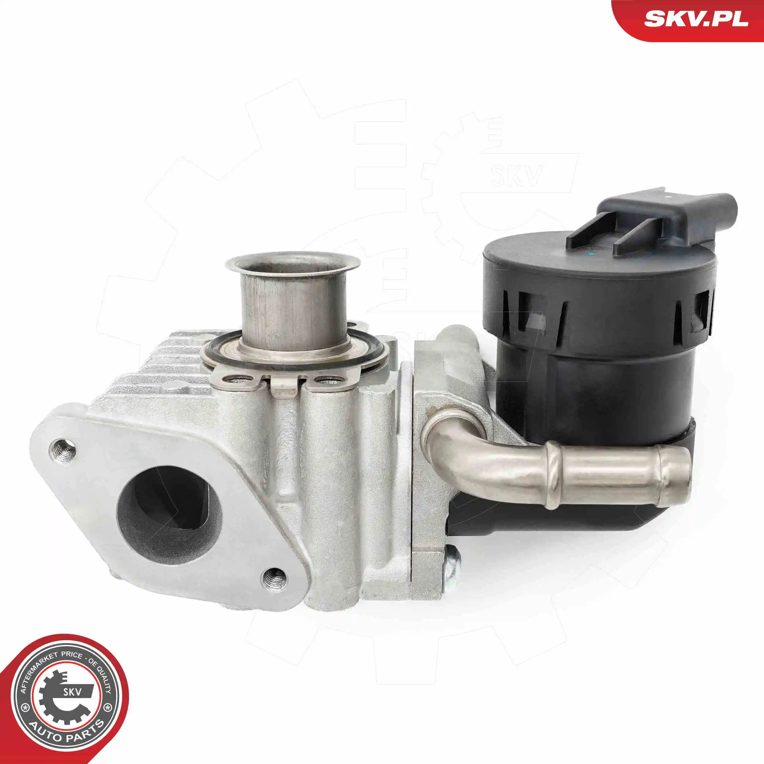 EGR Valve 14SKV283