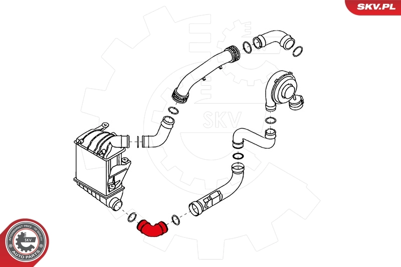 Charge Air Hose 24SKV136