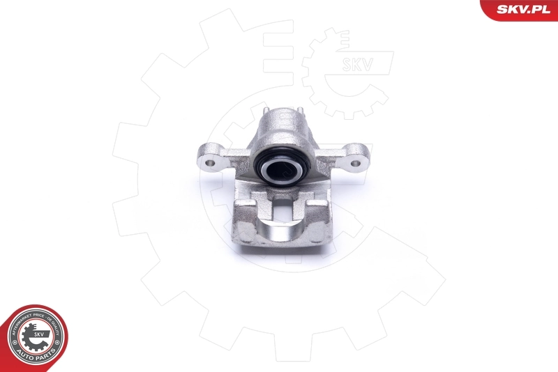 Brake Caliper 42SKV563