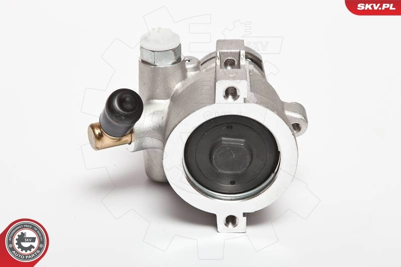 Hydraulic Pump, steering 10SKV047