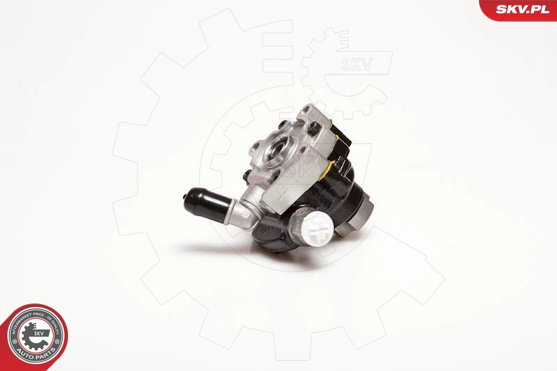 Hydraulic Pump, steering 10SKV116