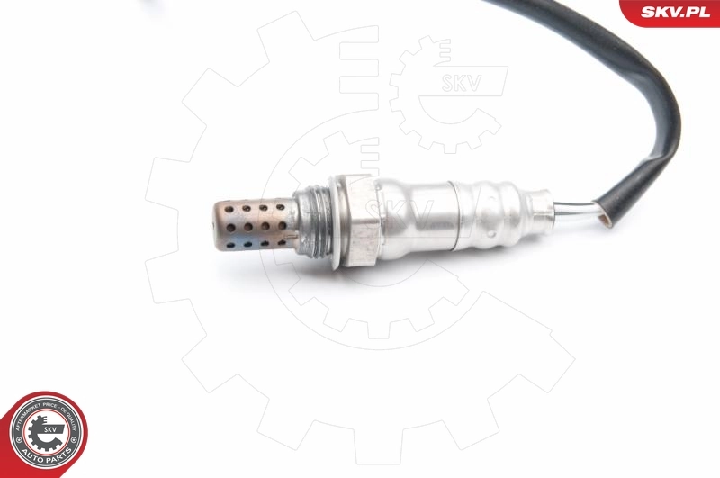 Oxygen Sensor 09SKV745