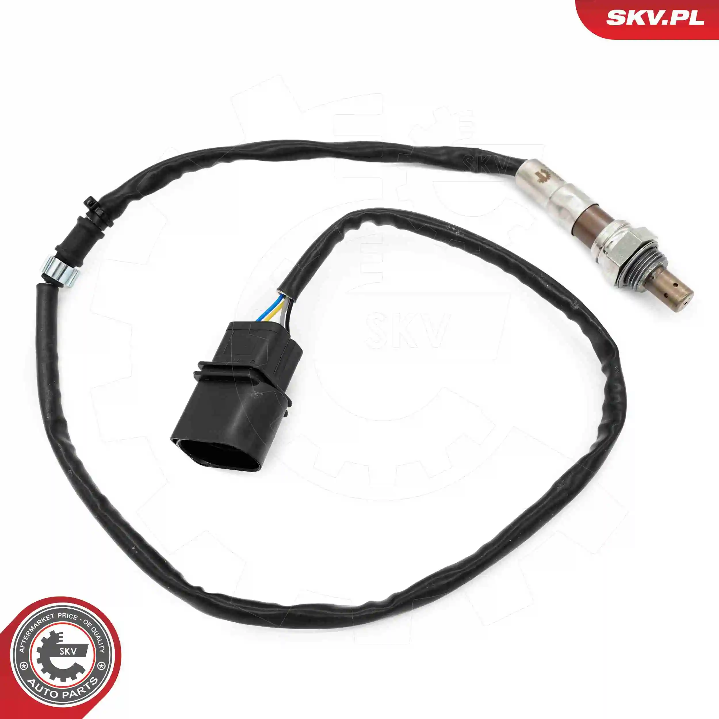 Oxygen Sensor 09SKV161