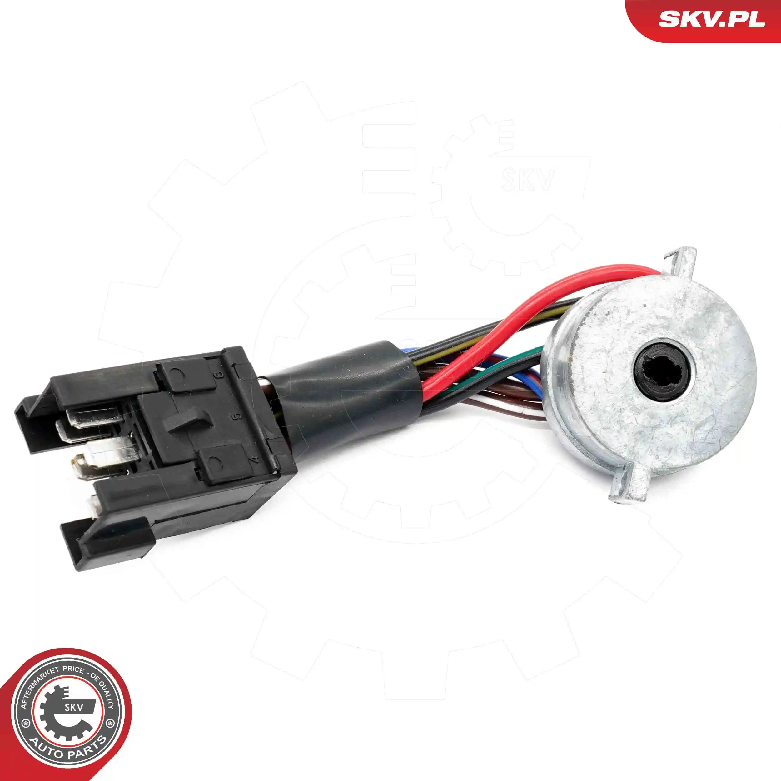 Ignition Switch 65SKV024
