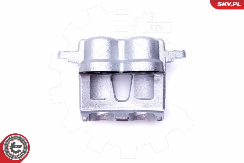 Brake Caliper 44SKV091