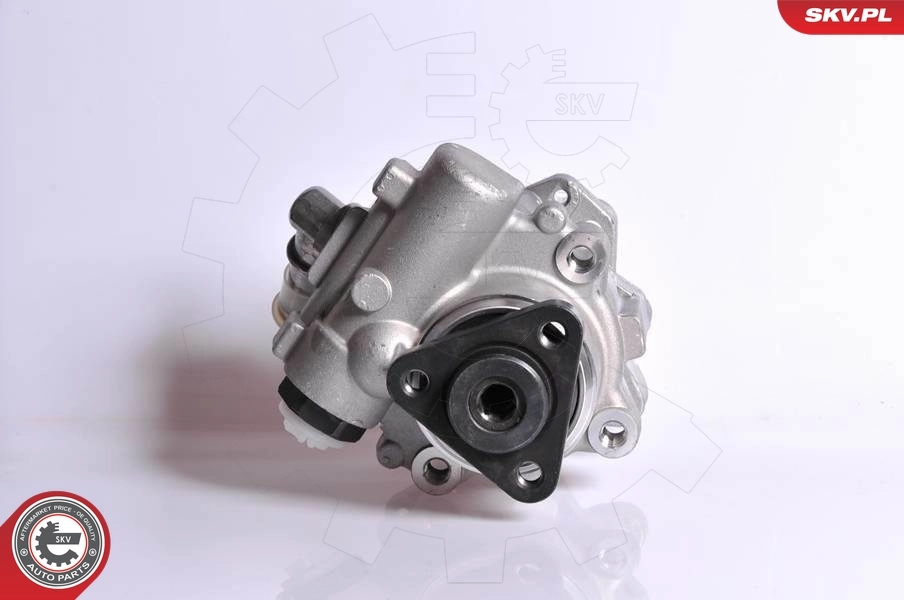 Hydraulic Pump, steering 10SKV167