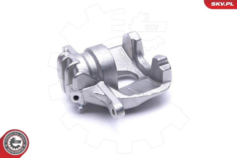 Brake Caliper 55SKV701