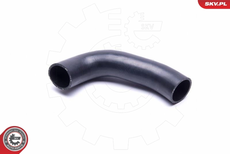 Charge Air Hose 54SKV019