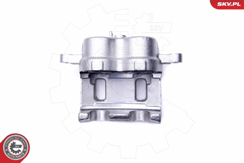Brake Caliper 46SKV621