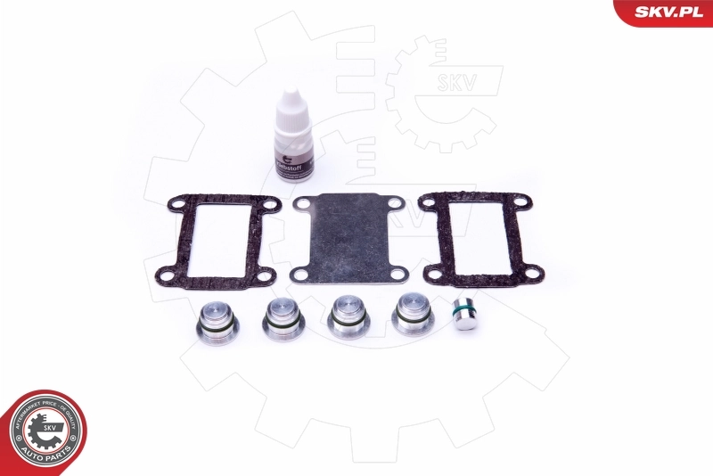 Repair Kit, intake manifold module 49SKV525