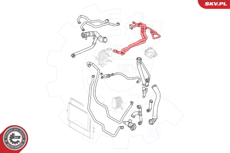 Radiator Hose 43SKV747
