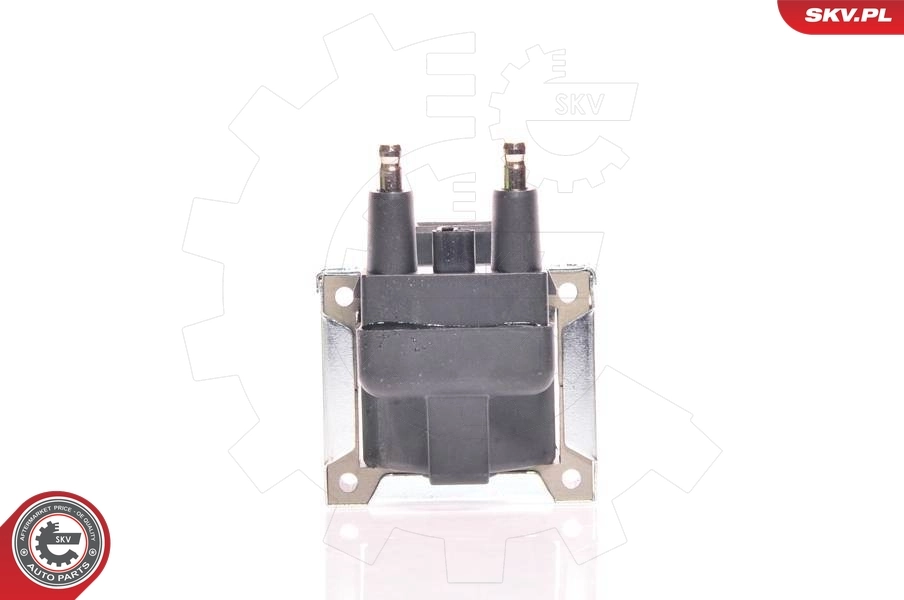 Ignition Coil 03SKV060