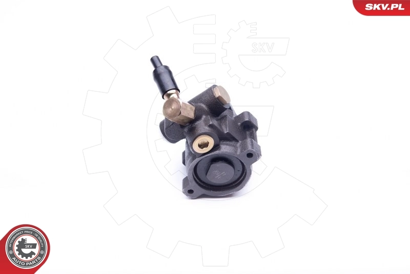 Hydraulic Pump, steering 10SKV253