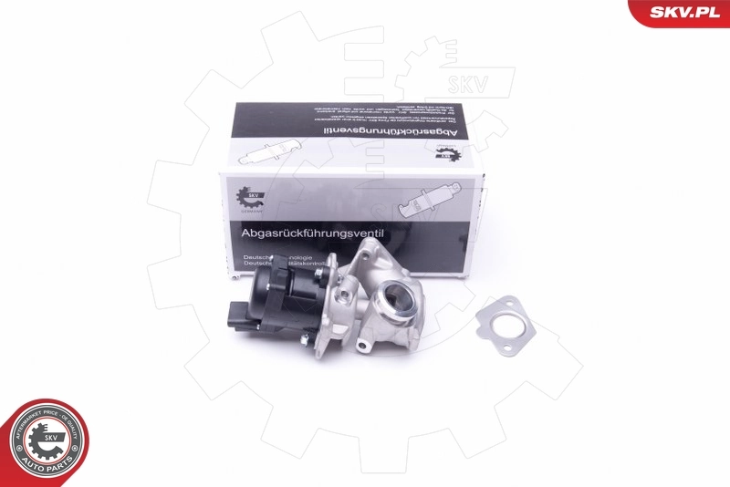 EGR Valve 14SKV202