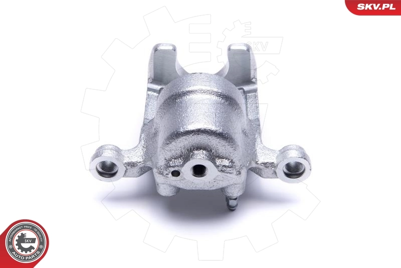 ESEN SKV 55SKV483 Brake Caliper
