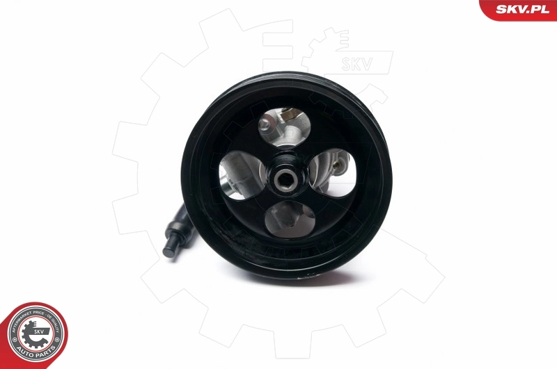 Hydraulic Pump, steering 10SKV216