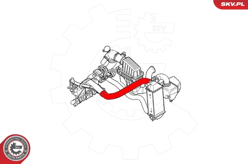 Charge Air Hose 24SKV795