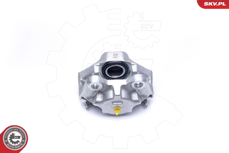 Brake Caliper 45SKV061