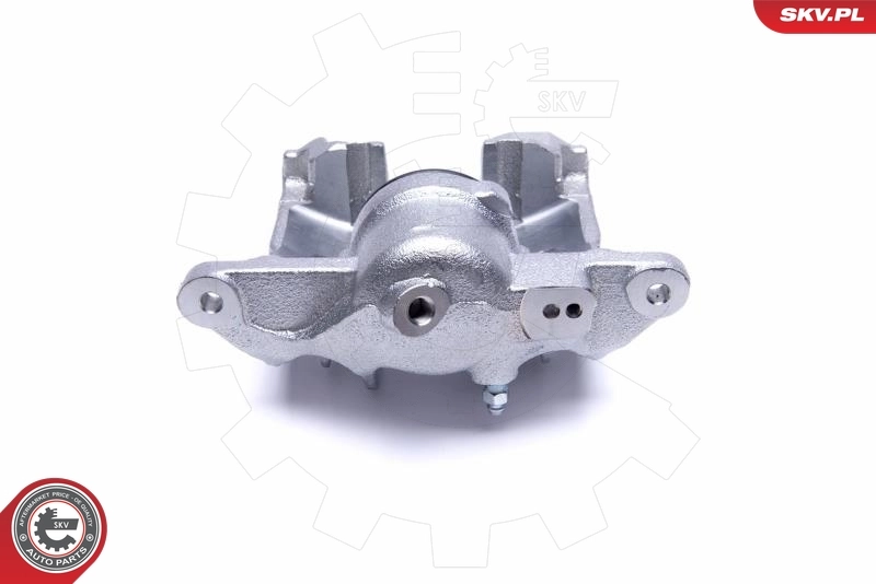 Brake Caliper 50SKV971