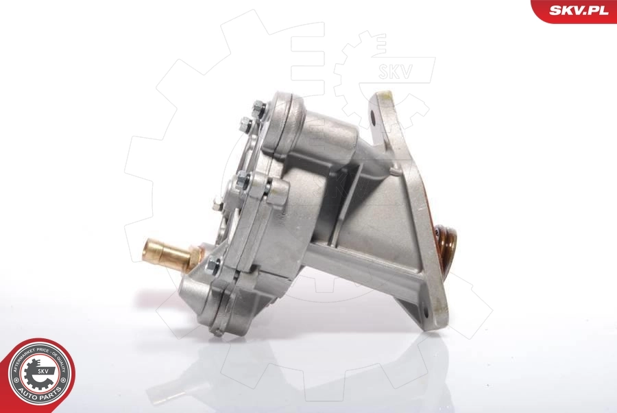 Vacuum Pump, braking system 18SKV005