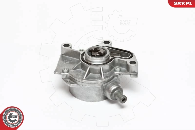 Vacuum Pump, braking system 18SKV004