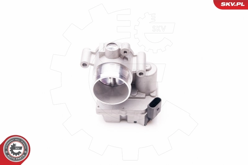 Throttle Body 12SKV063