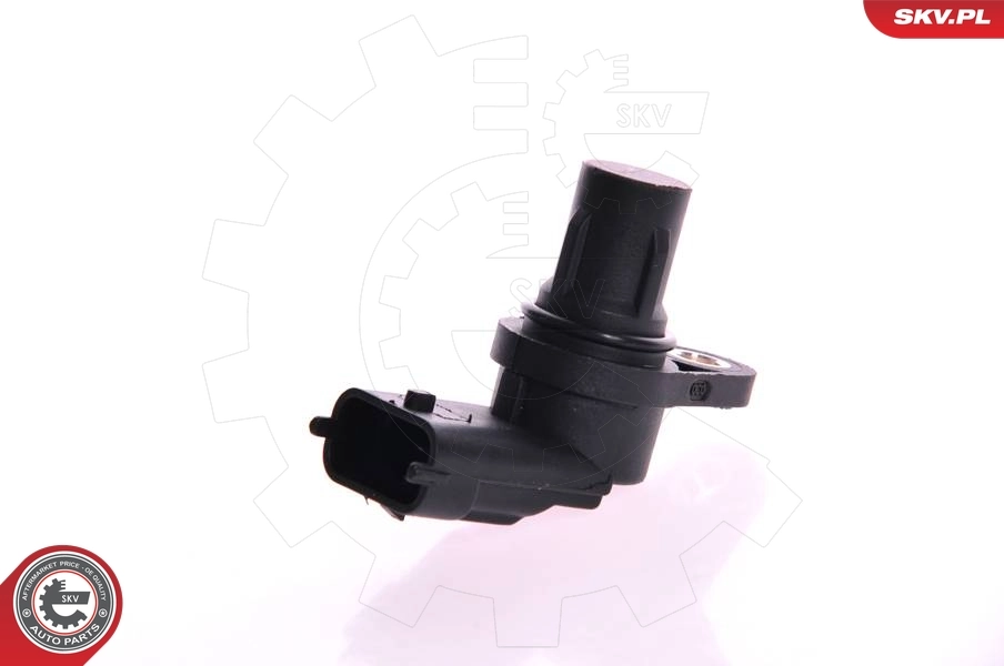 Sensor, camshaft position 17SKV229