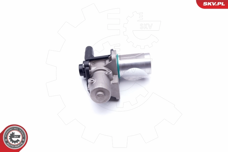 EGR Valve 14SKV172