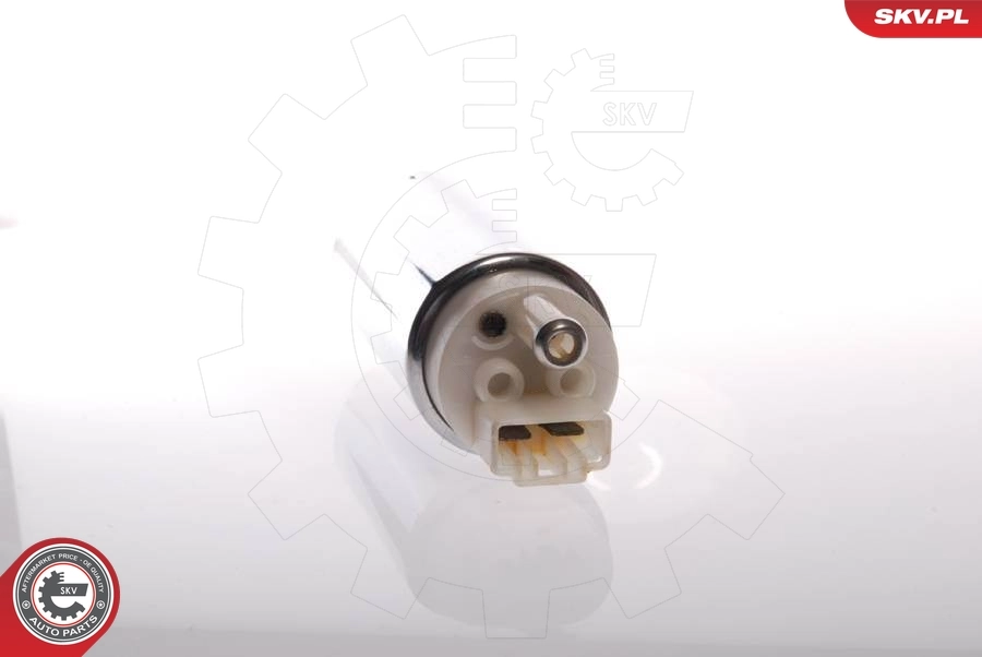 Fuel Pump 02SKV201