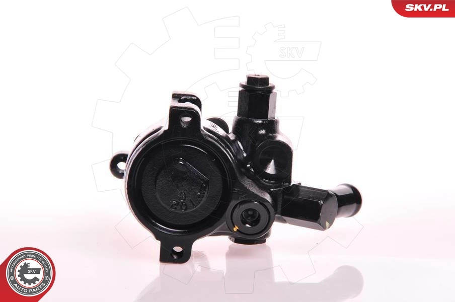 Hydraulic Pump, steering 10SKV179