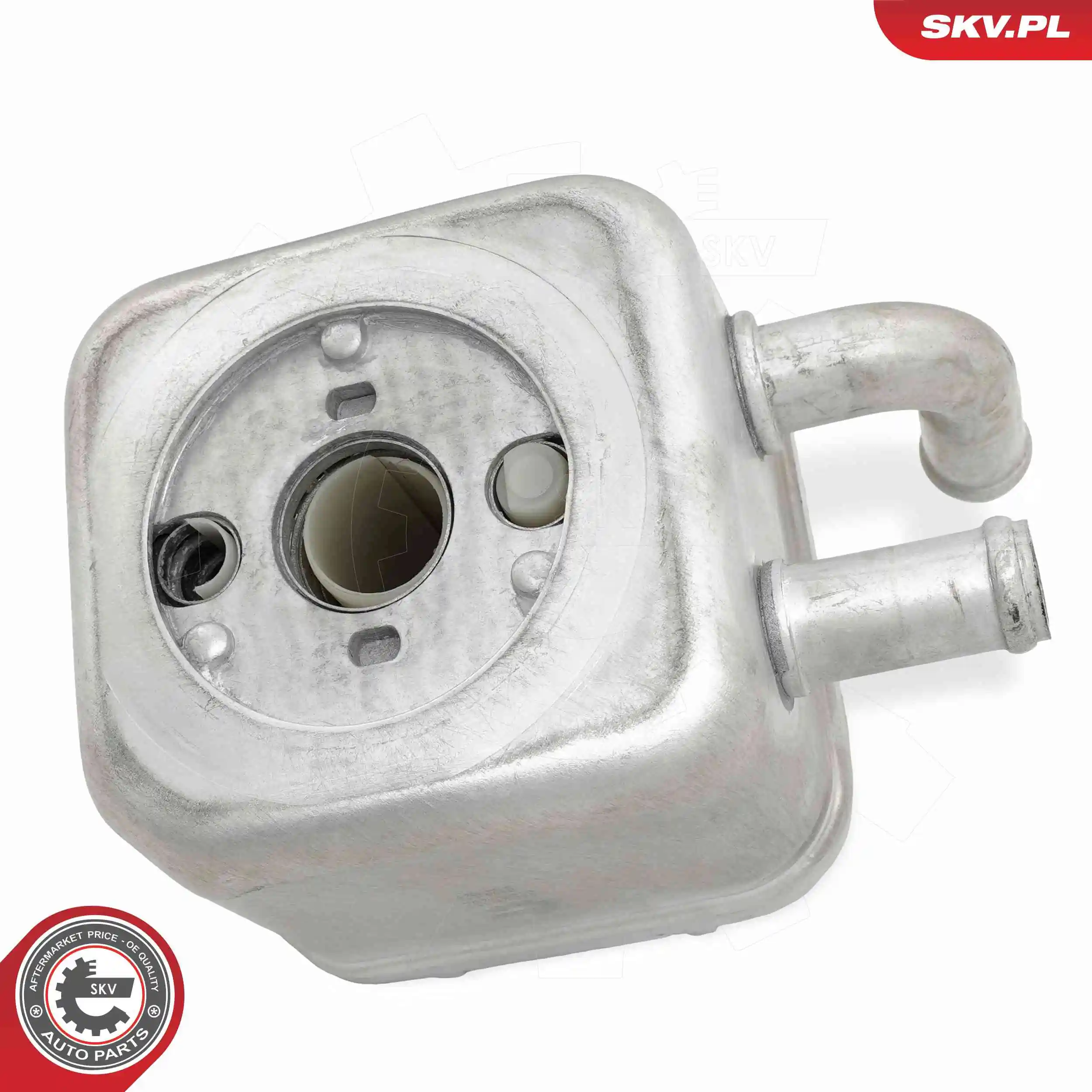 Oil Cooler, engine oil 31SKV292