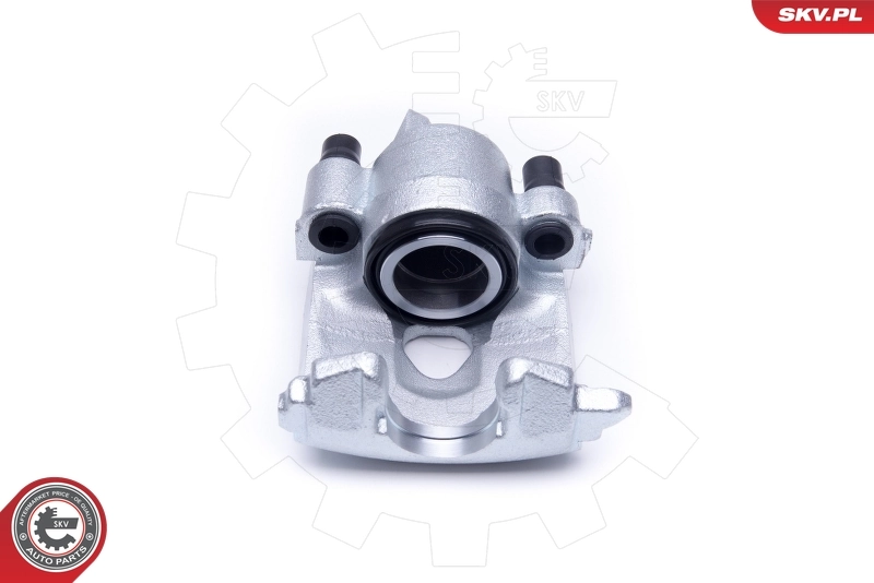 Brake Caliper 50SKV351