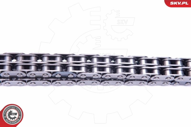 Timing Chain Kit 21SKV245