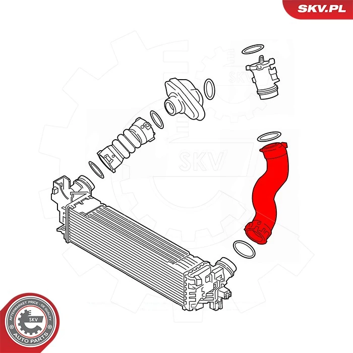 Charge Air Hose 43SKV468
